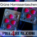 Grüne Hornissenlaschen 14
